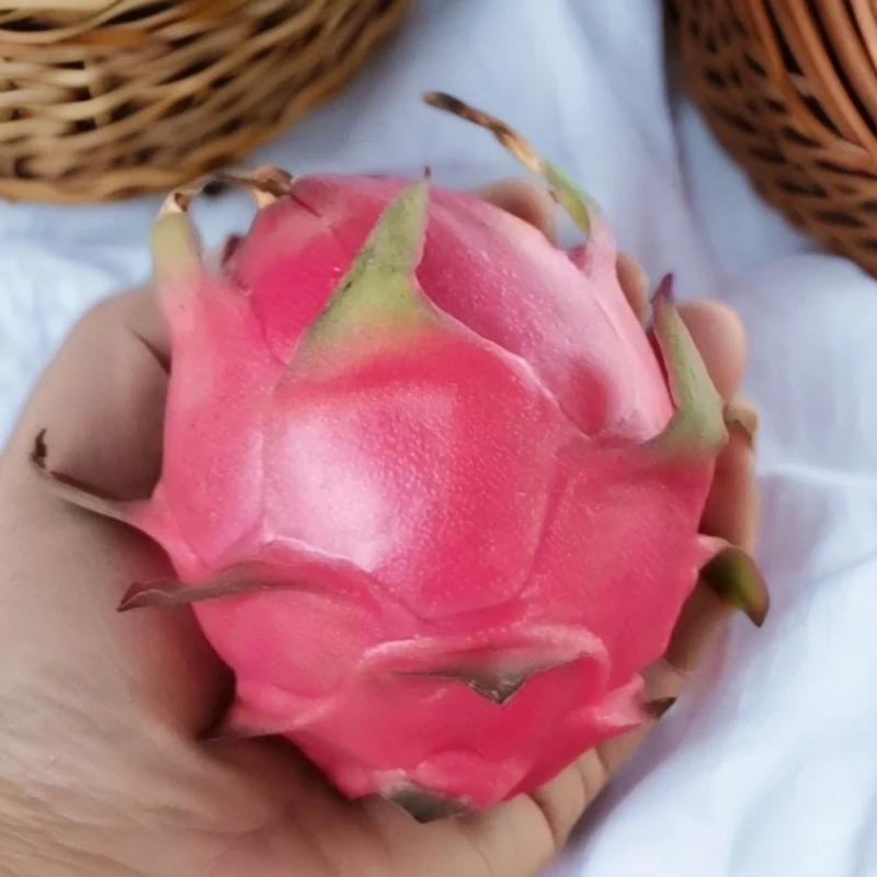 新鲜蜜宝树上熟红心火龙果 口感甜糯