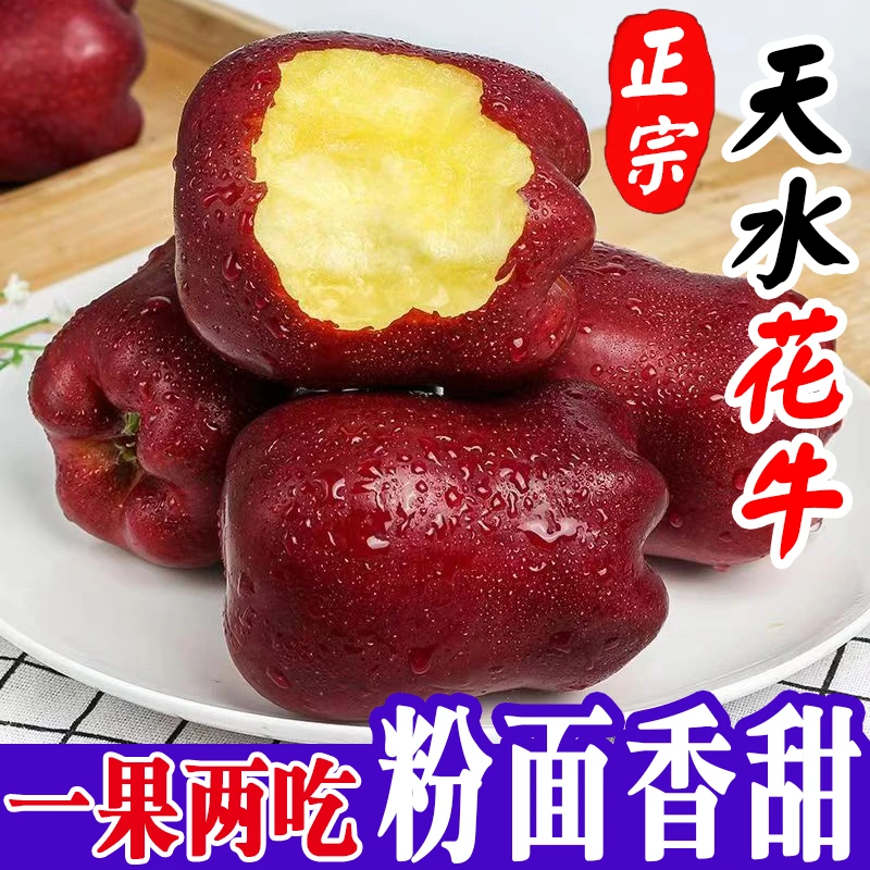 甘肃天水花牛苹果新鲜水果粉面甜红蛇果当季宝宝刮泥孕妇蛇果苹果