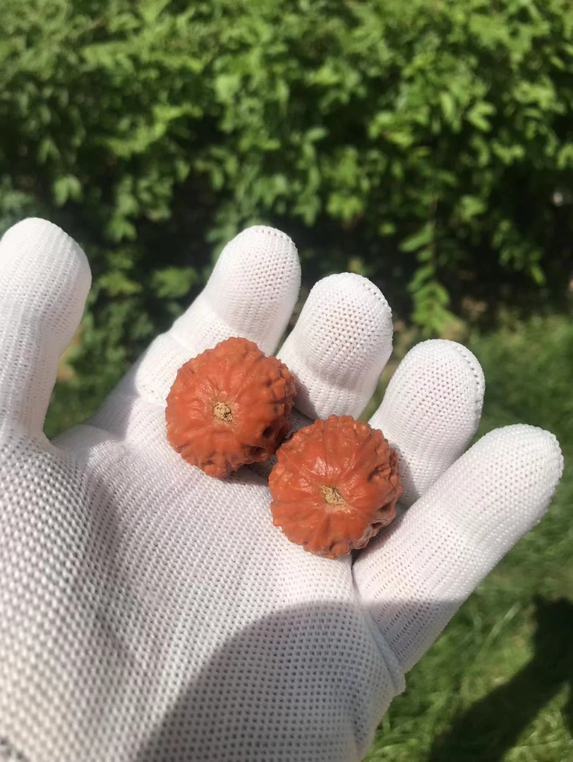 价值38元文玩核桃一对