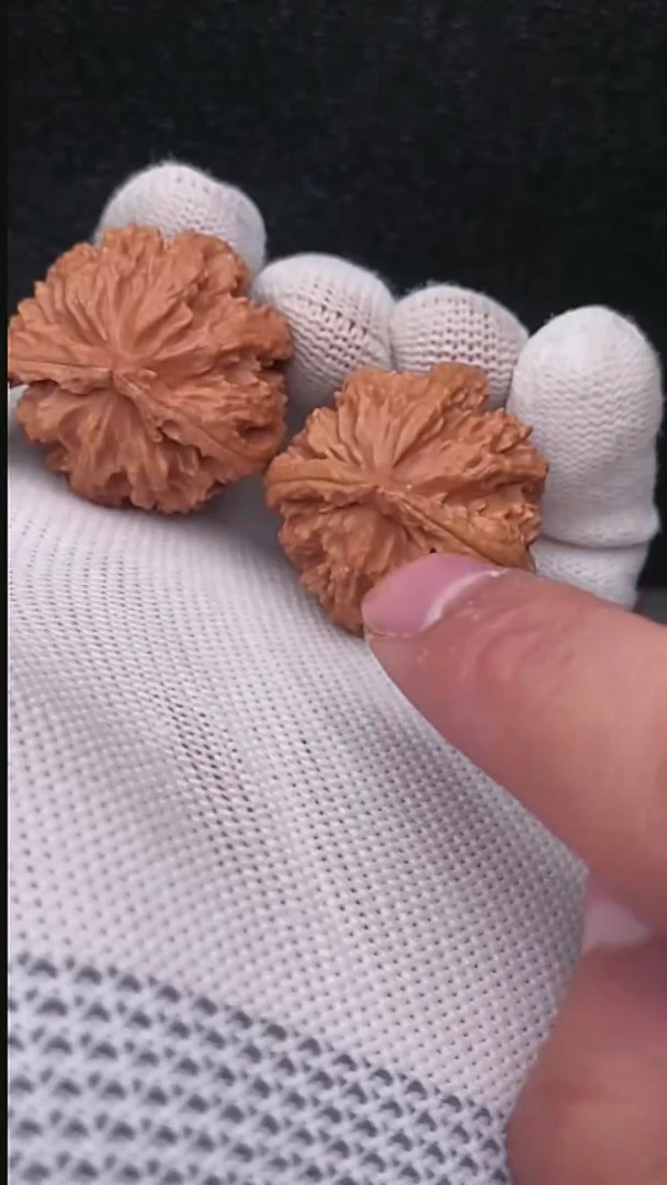 【闪购商品】文玩核桃把件龟背
