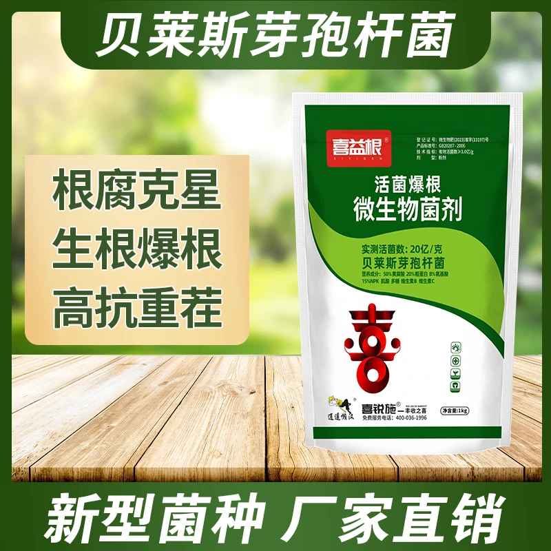贝莱斯芽孢杆菌微生物菌剂活菌防治根腐生根壮苗土壤改良抗重茬