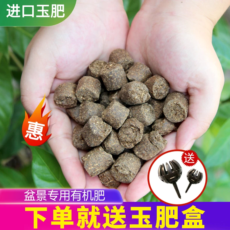 玉肥盆景专用日本原装进口玉肥缓释肥特价松柏花卉 玉肥盒 肥料盒