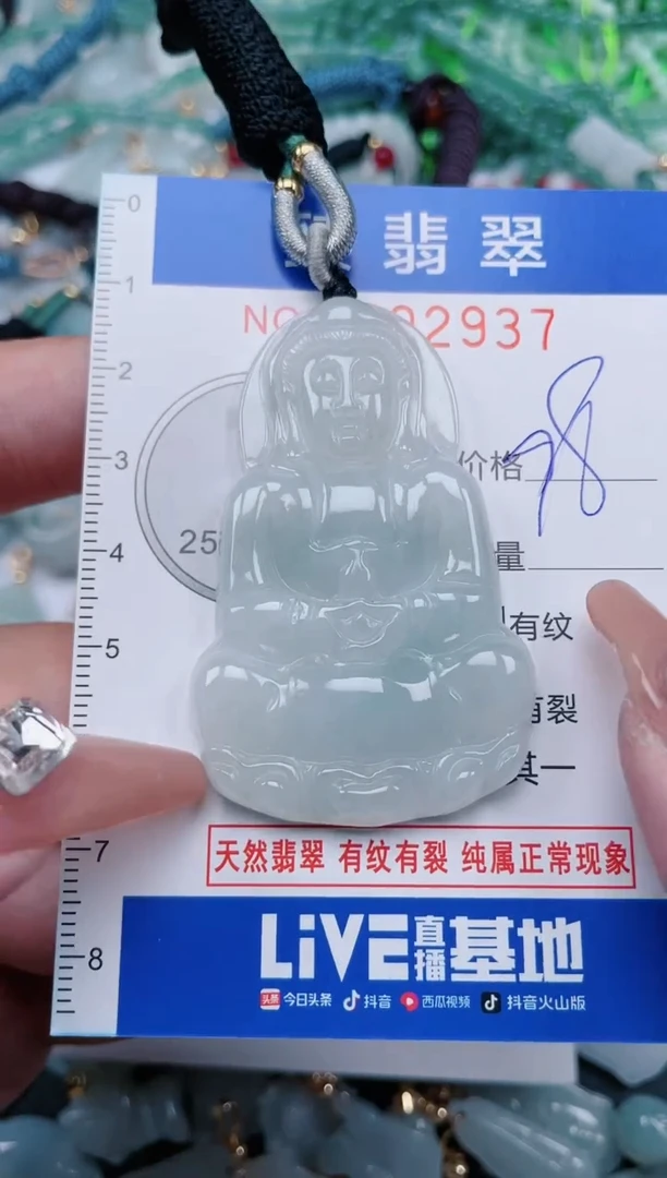 【闪购商品】翡翠颈饰未镶嵌.0002937