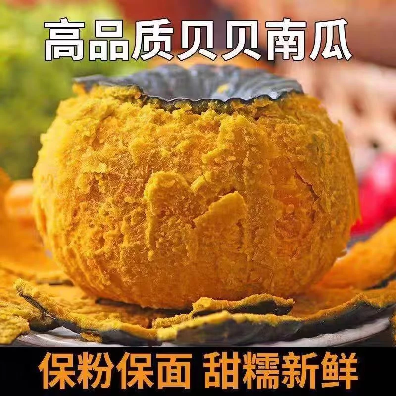 【不粉包赔】正宗贝贝南瓜栗香小南瓜粉糯香甜净重4.5斤装新鲜细腻