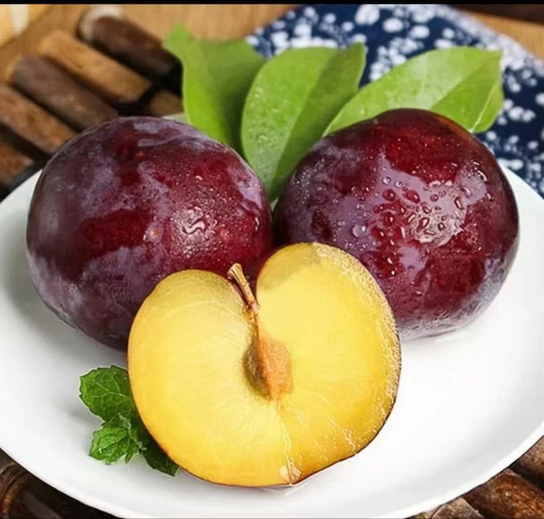 李子水果应季脆应季水果酸甜