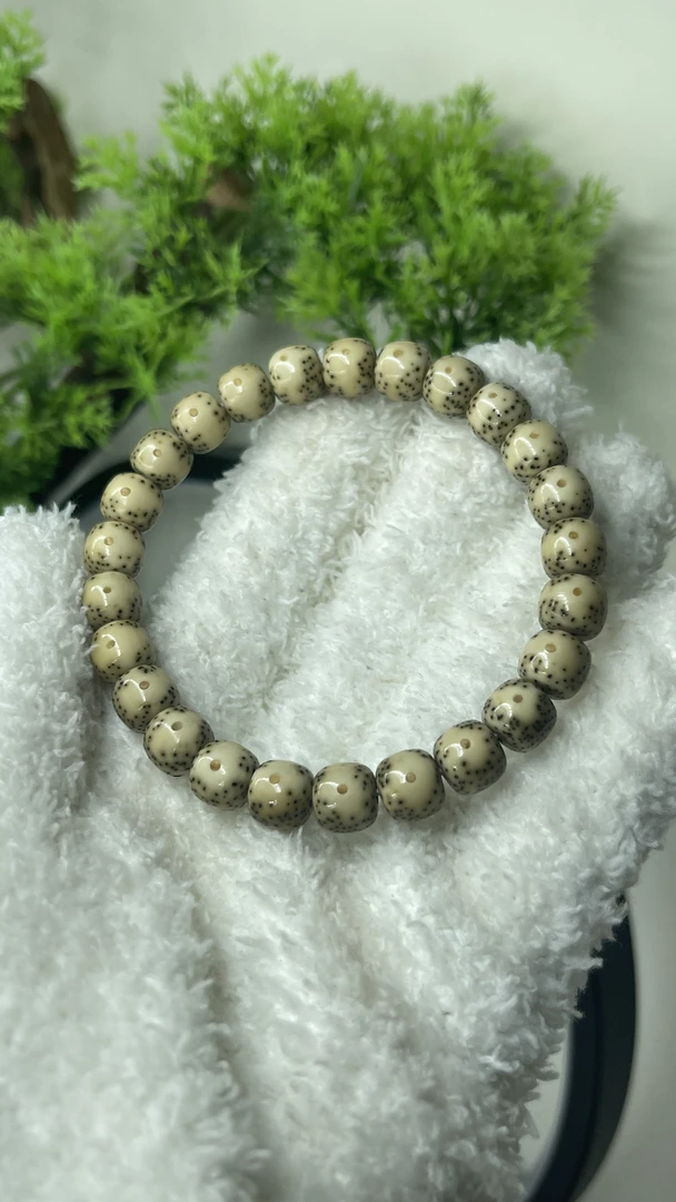 星月菩提石玉大眼睛通体海南原生态9×8横纹一线天B1