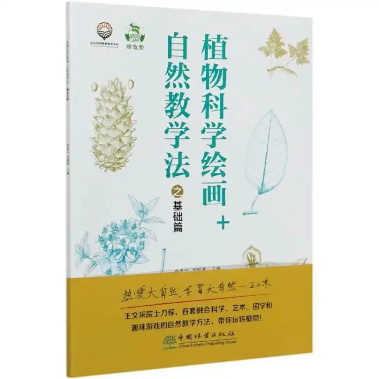 植物科学绘画+自然教学法之基础篇&0693