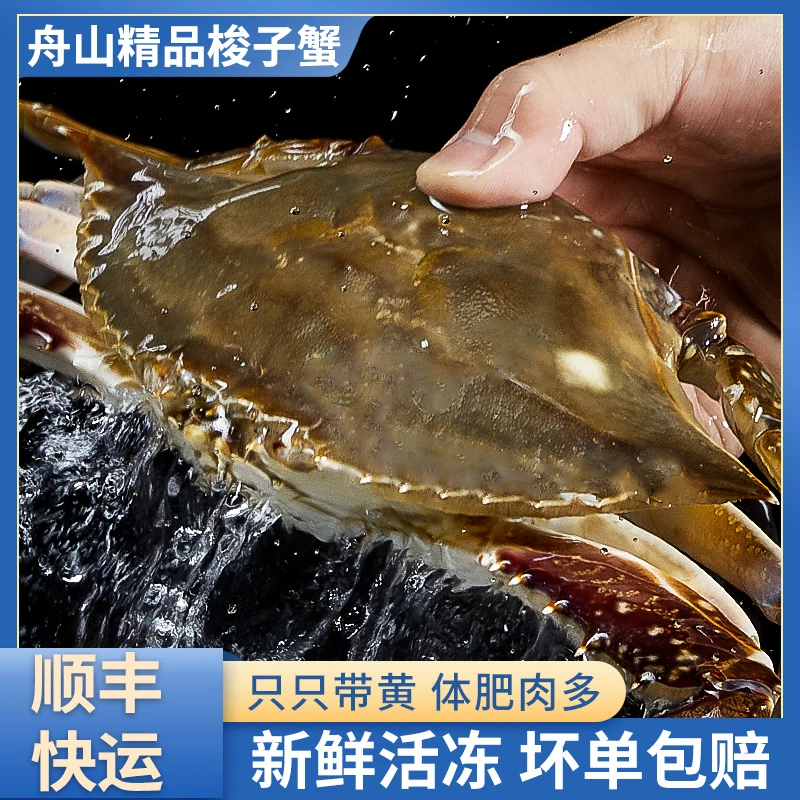 【冻蟹】舟山梭子蟹3-4两10只福利液氮海鲜3斤公蟹螃蟹飞蟹肉蟹Z5