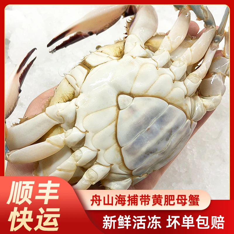 【冻蟹】母蟹精品3-4两10只舟山梭子蟹3斤顺丰液氮海鲜饱满蟹白蟹