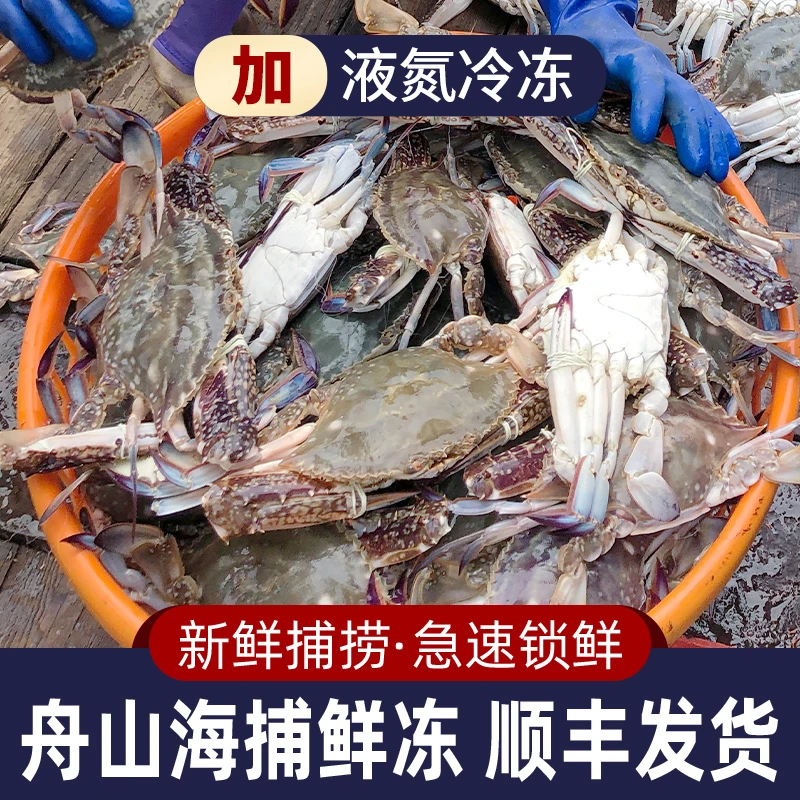 【8只】舟山大公蟹梭子蟹6-8两海蟹冷冻海鲜东海大公螃蟹水产飞蟹