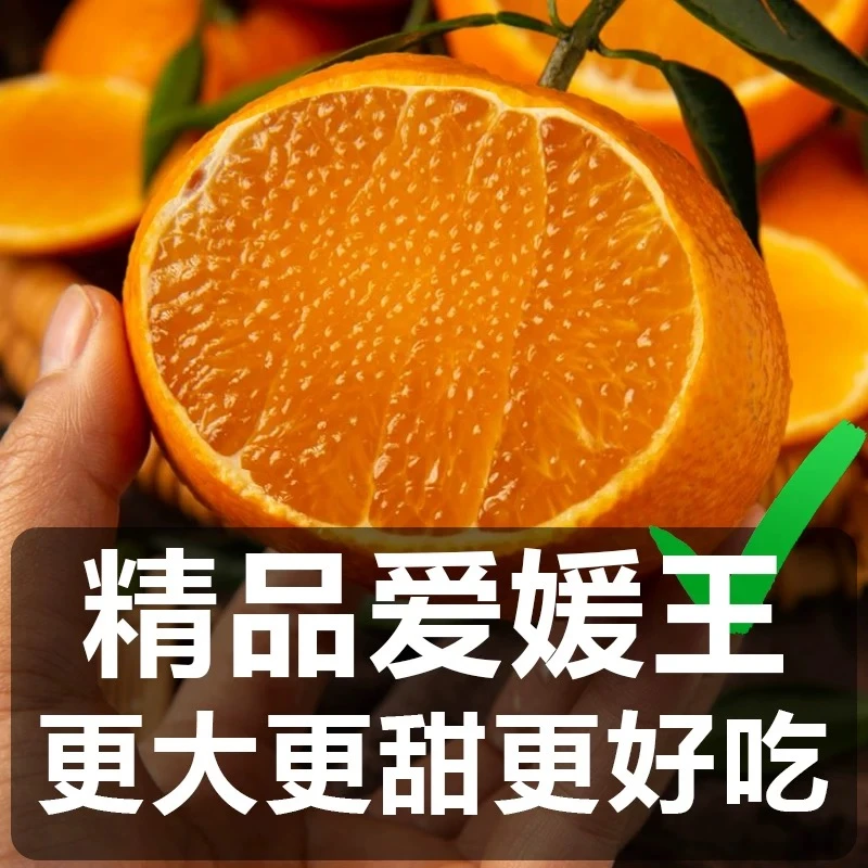 爱媛【果冻橙】爆汁 入口即化