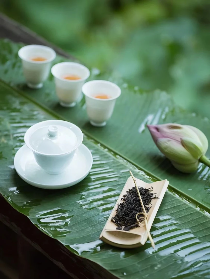 福建大红袍武夷岩茶  改价链接