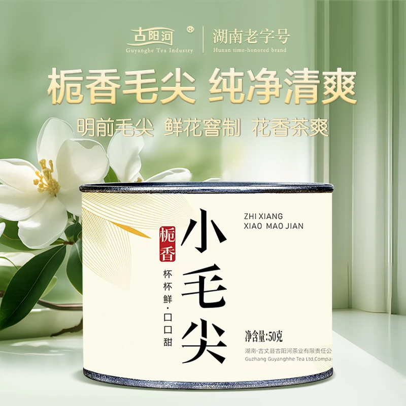 栀香小毛尖传统工艺栀子花香型古丈毛尖绿茶
