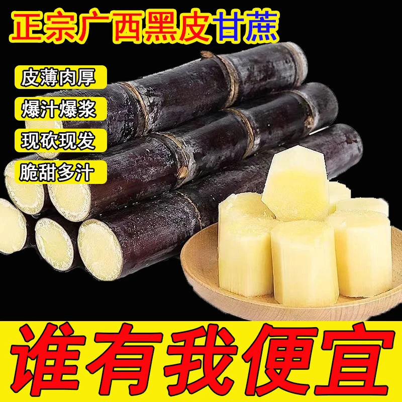 【广西甘蔗】正宗广西黑皮甘蔗新鲜现挖现砍现发应季当季水果包邮