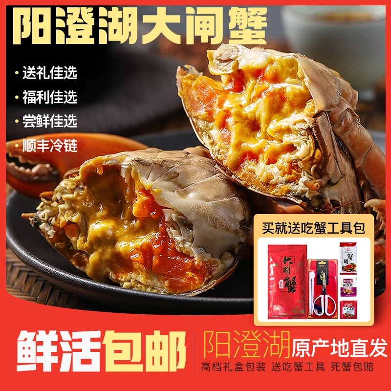 【阳澄湖大闸蟹】水中之霸 全母3.0两 10只 精品塘蟹礼盒装