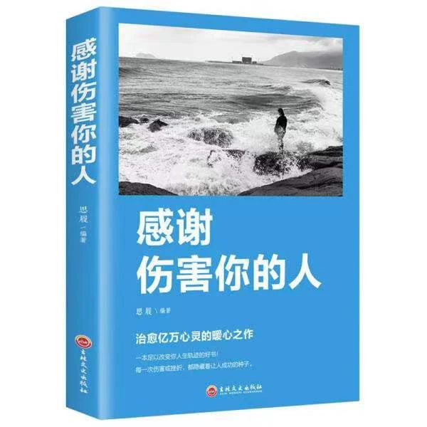 感谢伤害你的人 平装 青春励志书籍 磨砺自我的实践宝典做个内心