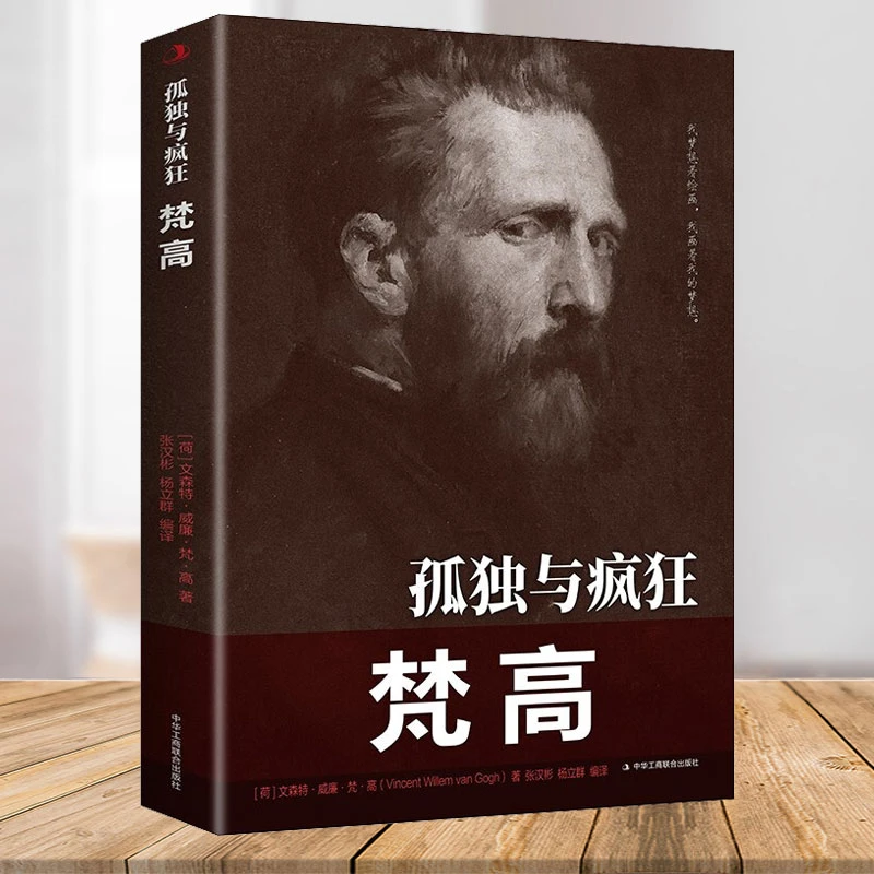 孤独与疯狂 梵高 历史人物名人传记书籍 荷兰后印象派画家梵高的