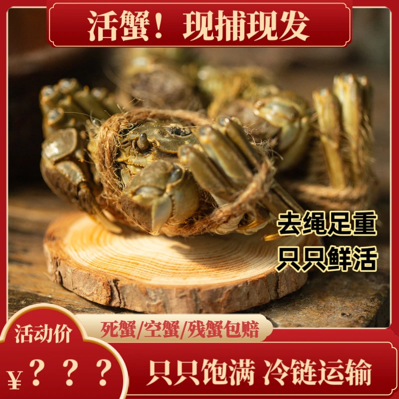 太湖有渔【活蟹】苏州太湖生态大闸蟹公蟹5-4.7两母蟹4-3.7两8只W10
