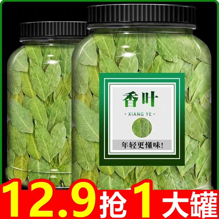 12.9抢1大罐】新香叶香罐装广西大片香叶绿色香味浓卤肉煲汤家用