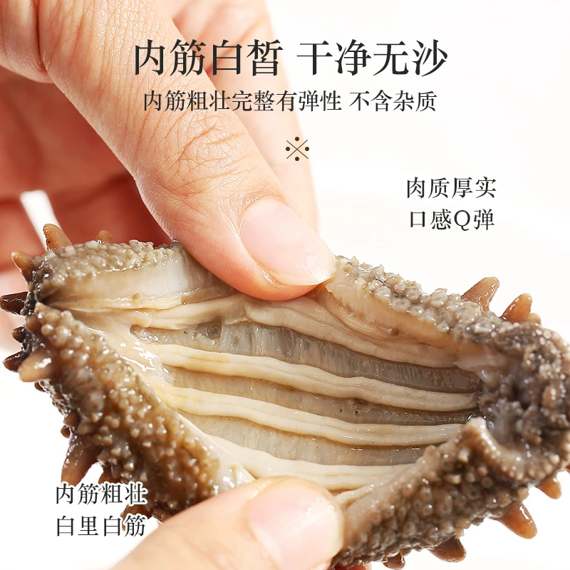 鲜食即食体验装福利款180g楼上仟参大连冷冻刺参海捕食用解冻海参