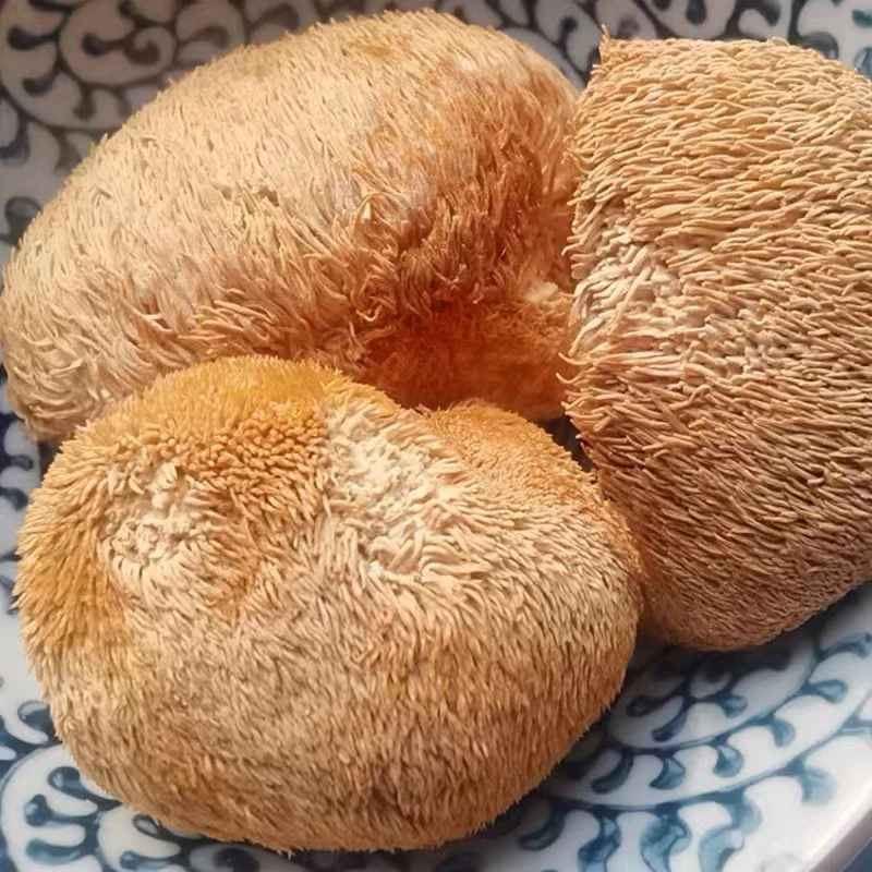 东北长白山猴头菇干货非新鲜野生食材煲汤早餐500g