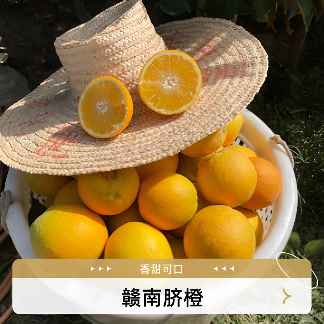 正宗赣南脐橙供应链江西赣州甜橙子礼盒果园直发优选10/20斤包邮