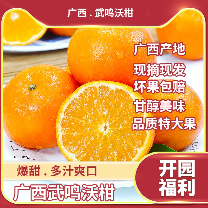 2023武鸣沃柑新鲜上市爆甜多汁