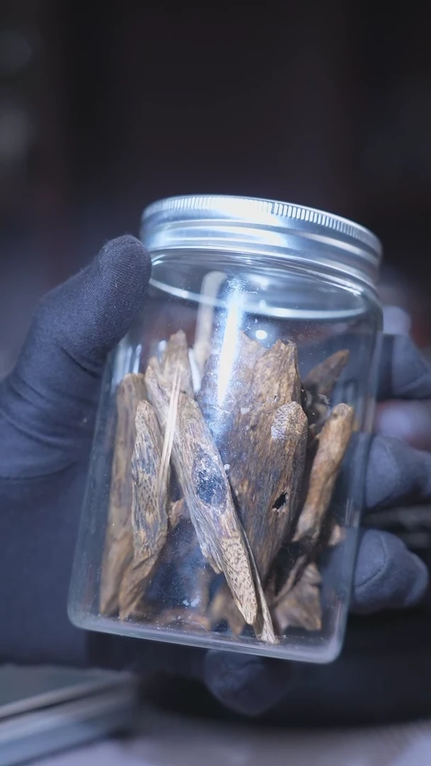 【闪购商品】沉香摆件海南沉香香块