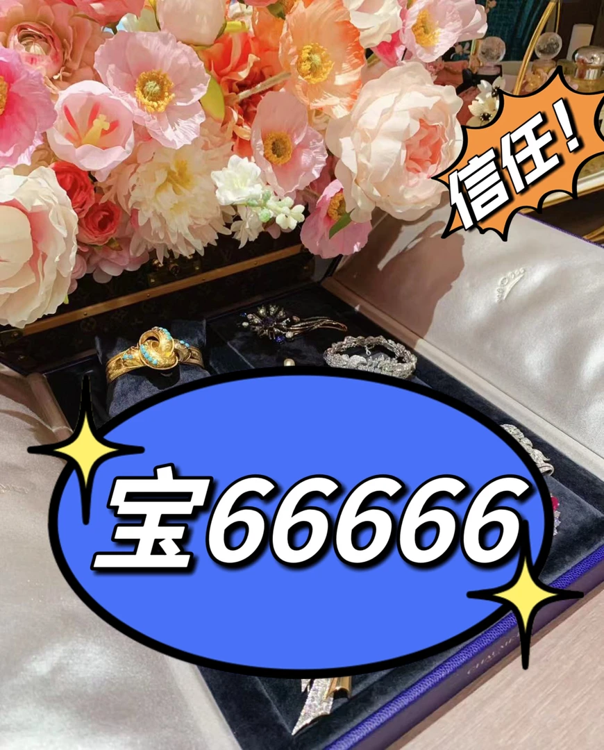 ONQ 新品轻奢饰品 宝6