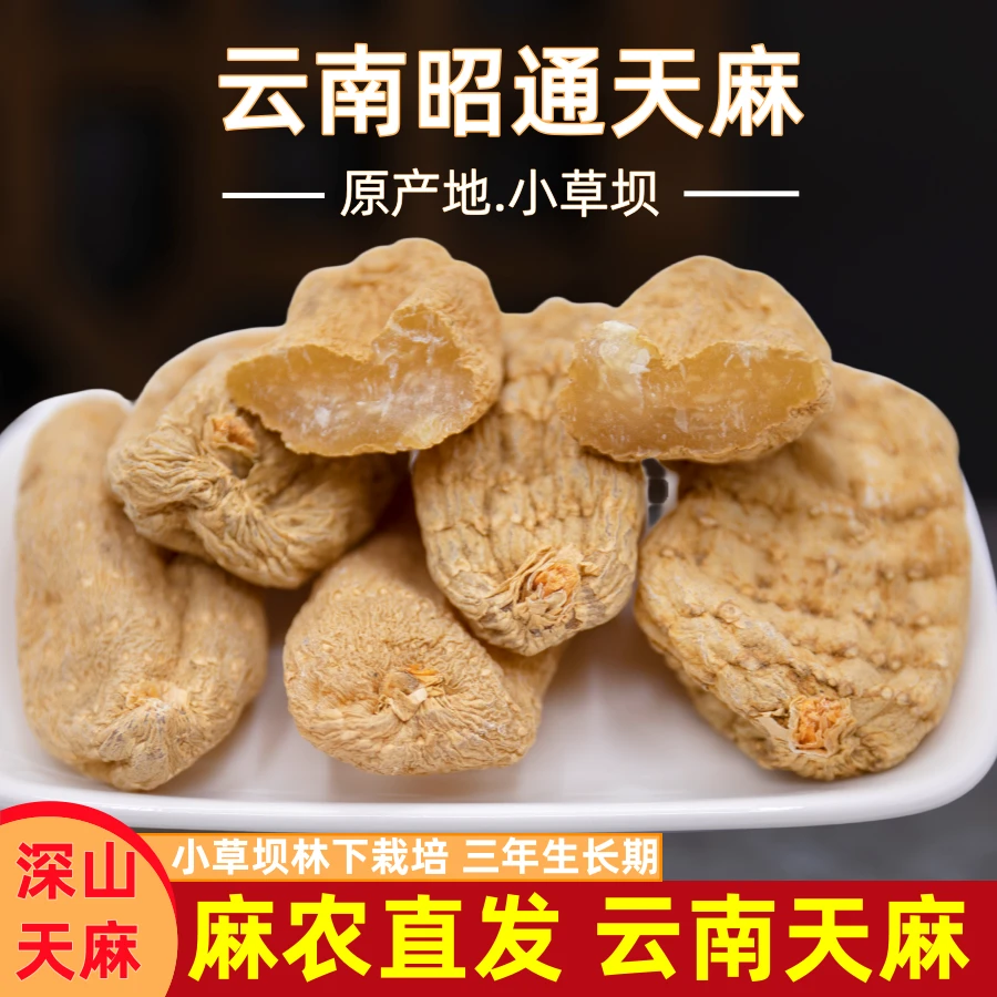 【森捞】云南昭通小草坝天麻深山老天麻林下复原野外生长栽培包邮