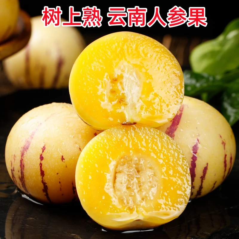 云南人参果树熟1斤