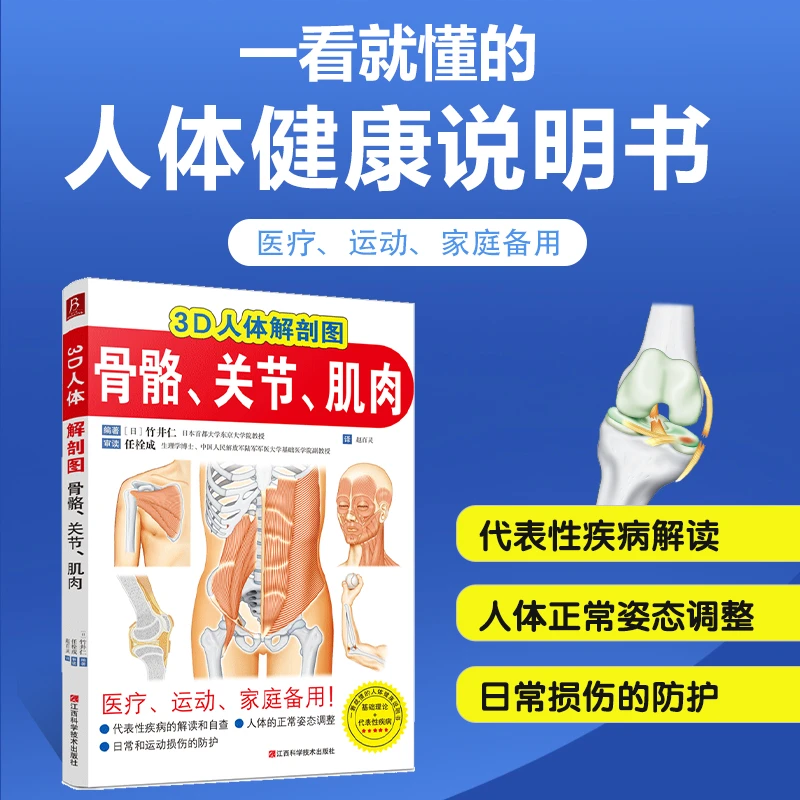3D人体解剖图骨骼、关节、肌肉