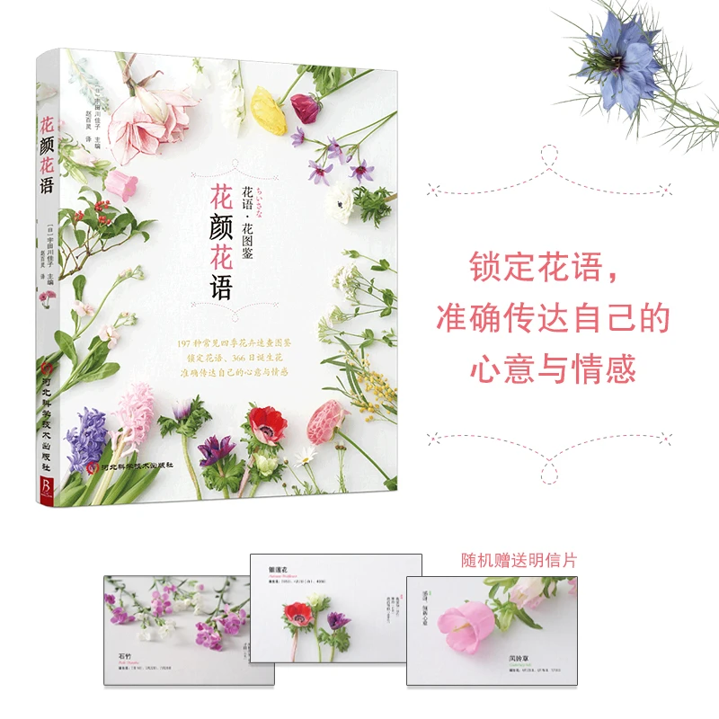BOOKLINK/书中缘花颜花语 197种实用的花卉手册和花语图鉴