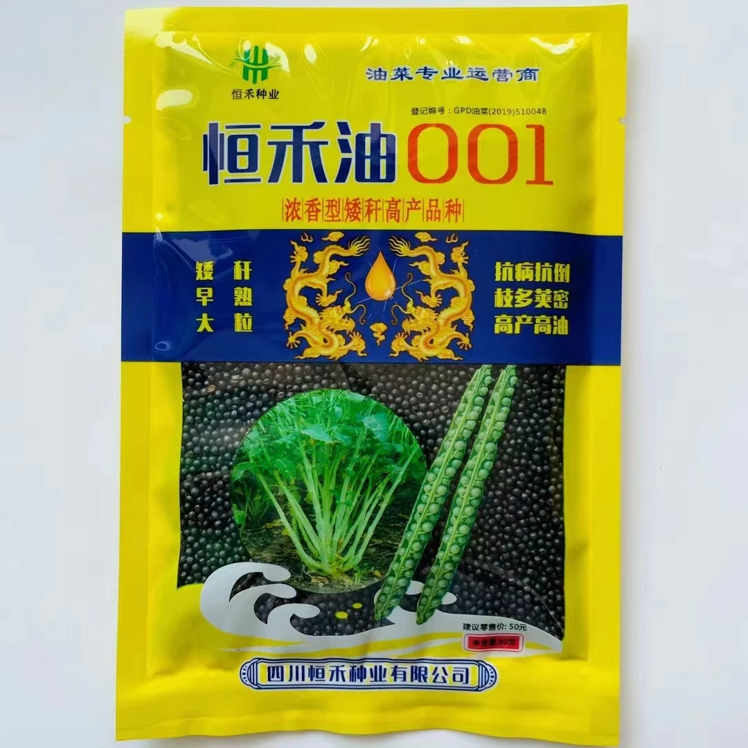 恒禾油001油菜种子浓香矮杆早熟大籽粒甘蓝型高油率菜籽大田用种