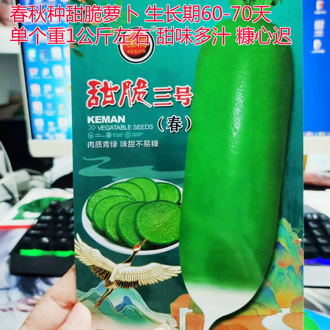 棵满甜脆三号青萝卜种子味甜口感好优质水果萝卜高产抗病春秋蔬菜