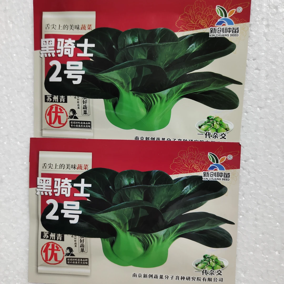 新创种苗黑骑士2号苏州青菜种子生长快叶片绿油亮口感软糯青梗菜