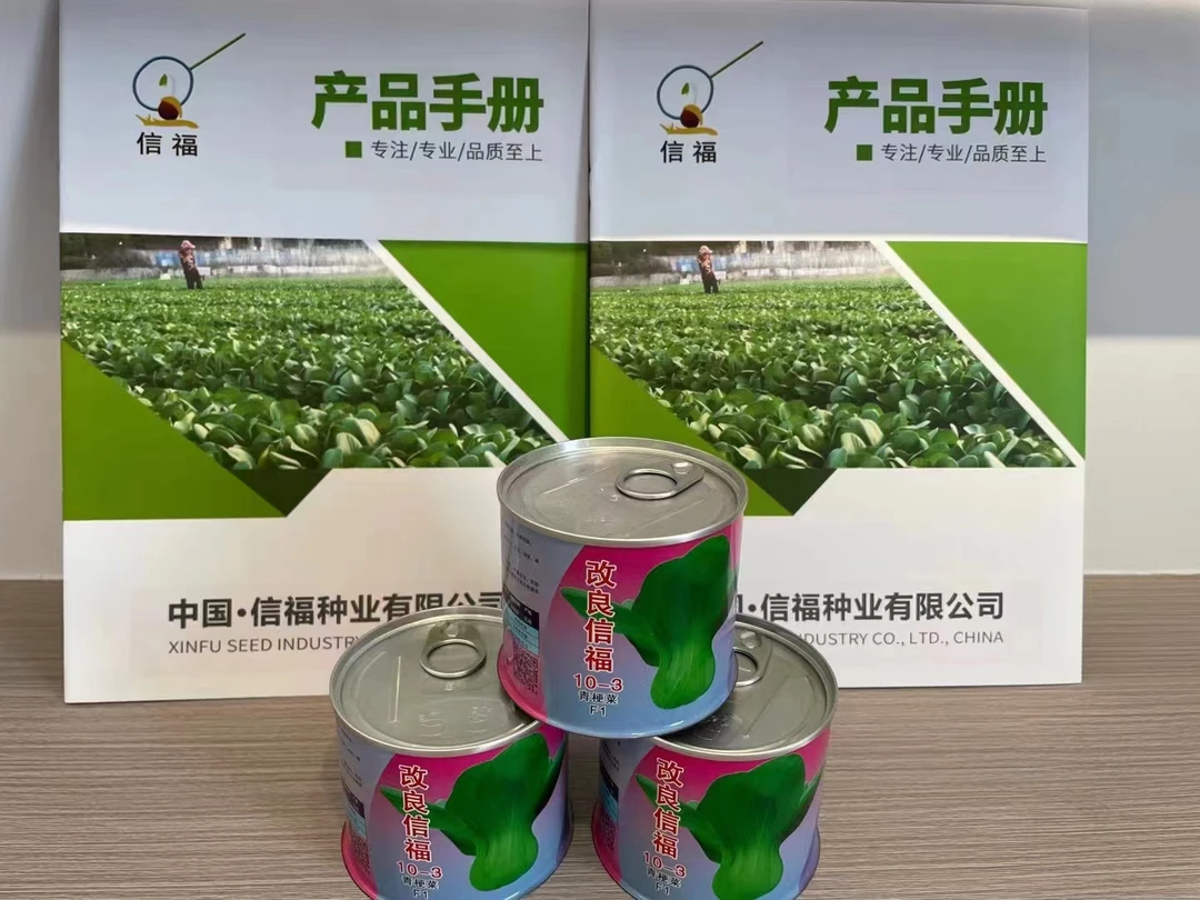 改良 福信10-3 青梗菜 青菜种子 杂交一代抗病高产耐寒耐抽苔蔬菜