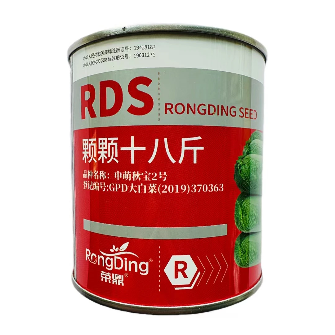 颗颗十八斤大白菜种子四季白菜籽叶多多大白菜抗病高产蔬菜白菜子
