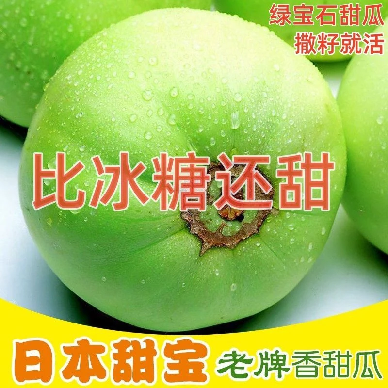 超甜甜宝甜瓜种子甜脆青皮薄皮香瓜籽四季庭院阳台盆栽水果种子