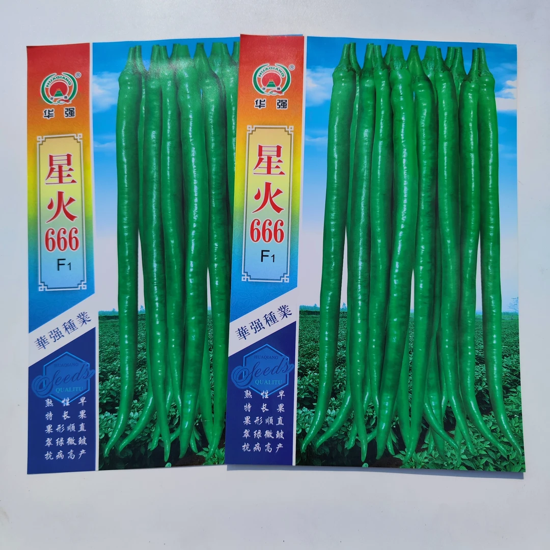 华强星火666辣椒种子超长线椒顺直辣味香浓干湿两用大田高产批发