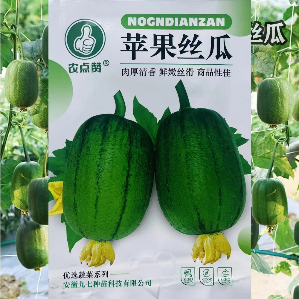 台湾苹果丝瓜种子菜瓜种籽子盆栽籽种蔬菜四季菜籽孑高产台湾丝瓜