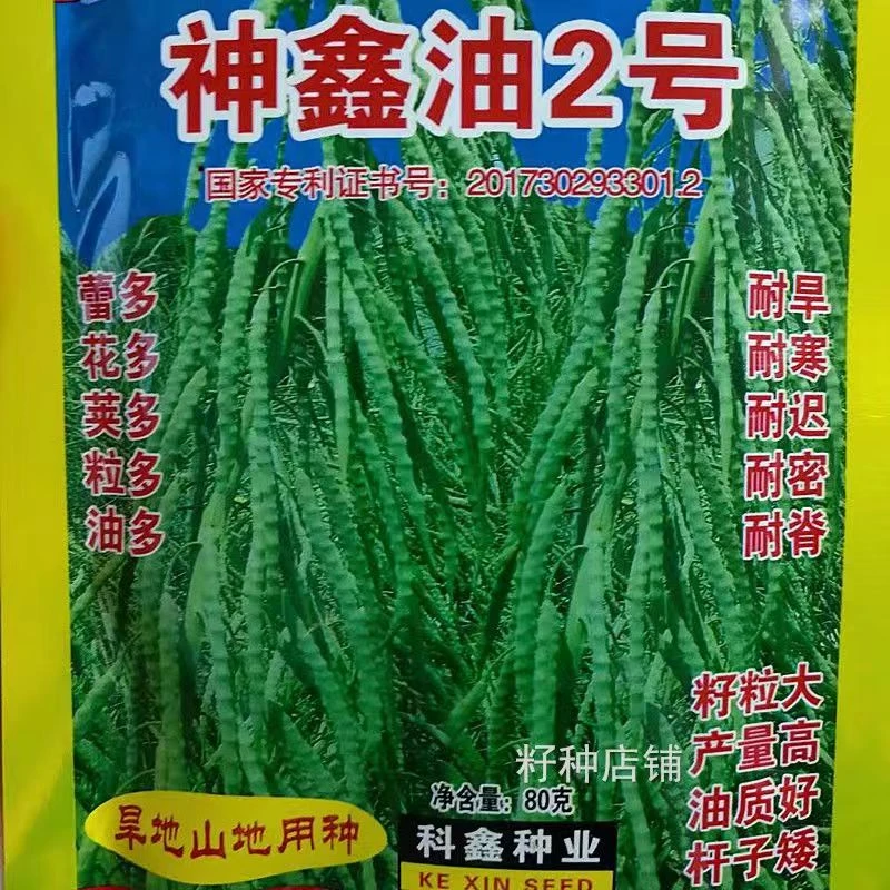 四川神鑫油2号油菜籽矮杆大粒高产出油耐寒耐旱秋季旱地山地用种