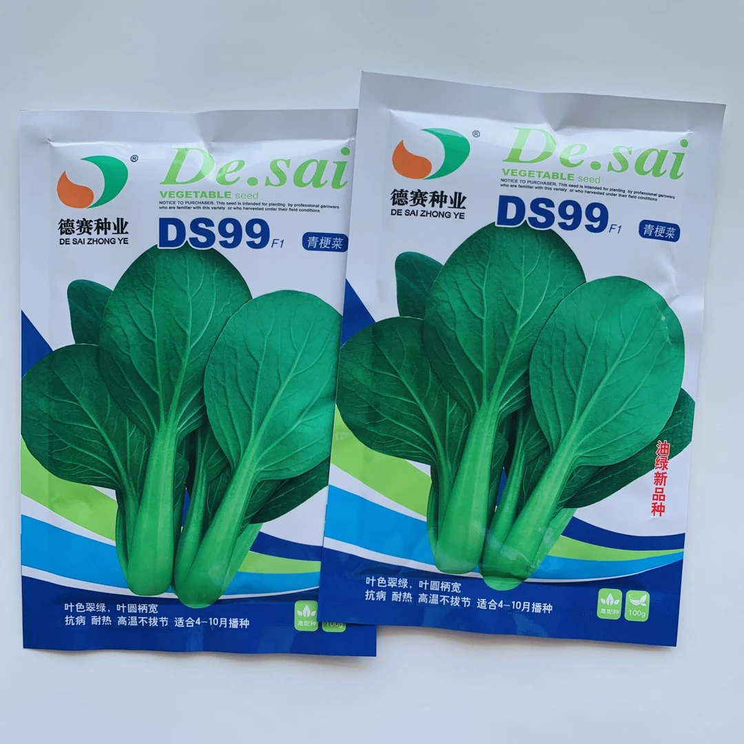 青梗菜种子德赛DS99青梗菜种子叶色油绿耐热高温不拔节青梗菜种