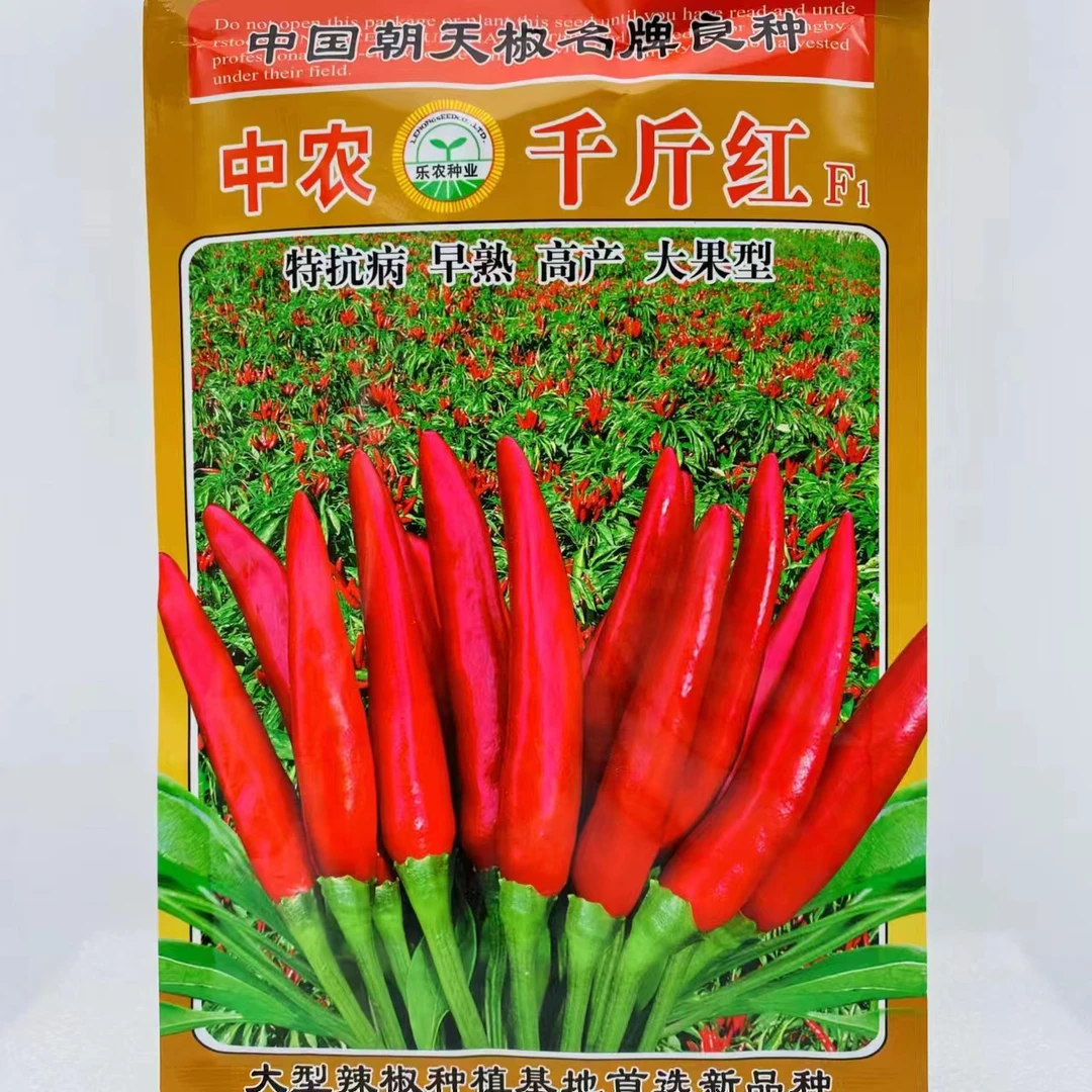 红朝天椒辣椒种子早熟高产抗病耐高温菜园蔬菜种子