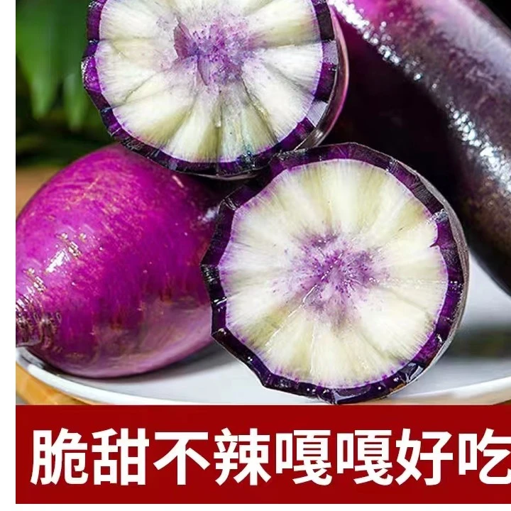 《自产自销》潍坊新鲜冰激凌萝卜 水果萝卜脆甜爽口不辣5斤装