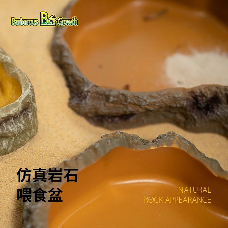【BoGe爬宠】爬宠食盆水盆蜥蜴守宫爬虫仿岩石造景夜光爬虫喂食盆
