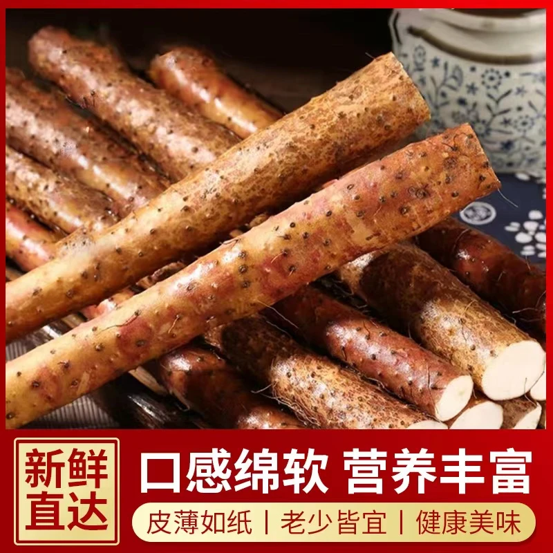 铁棍山药【5斤装】软糯香甜产地直发生鲜蔬菜宝宝辅食30-50