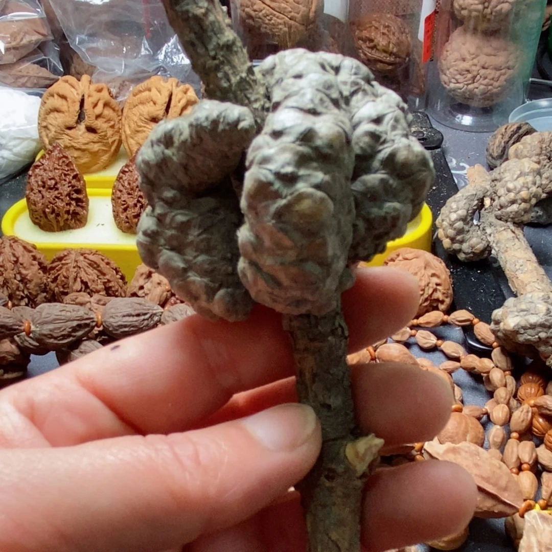 文玩核桃吊坠核桃166