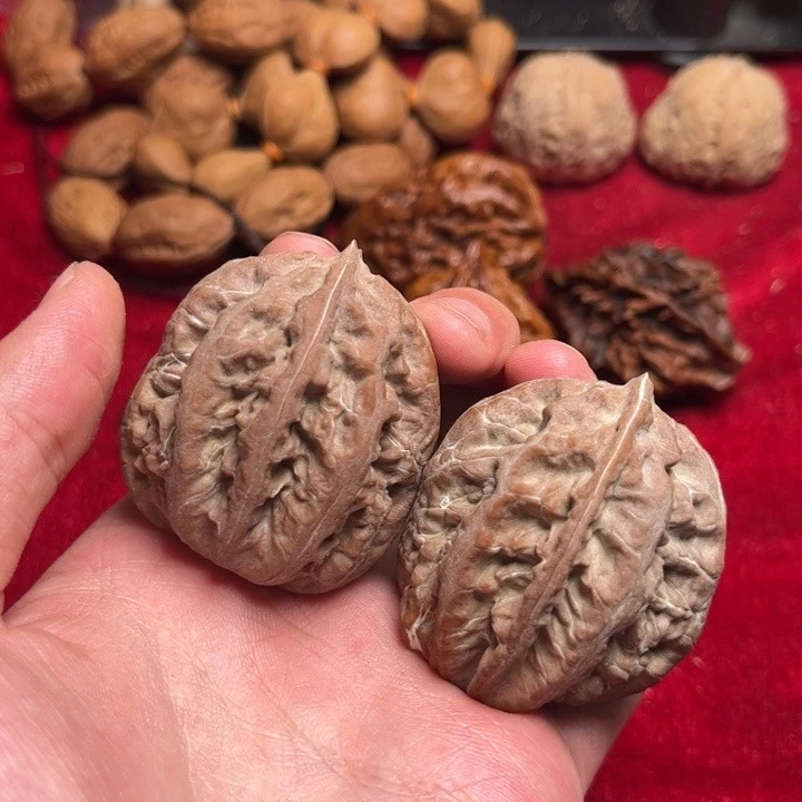 1号东北秋子文玩核桃野生山核桃