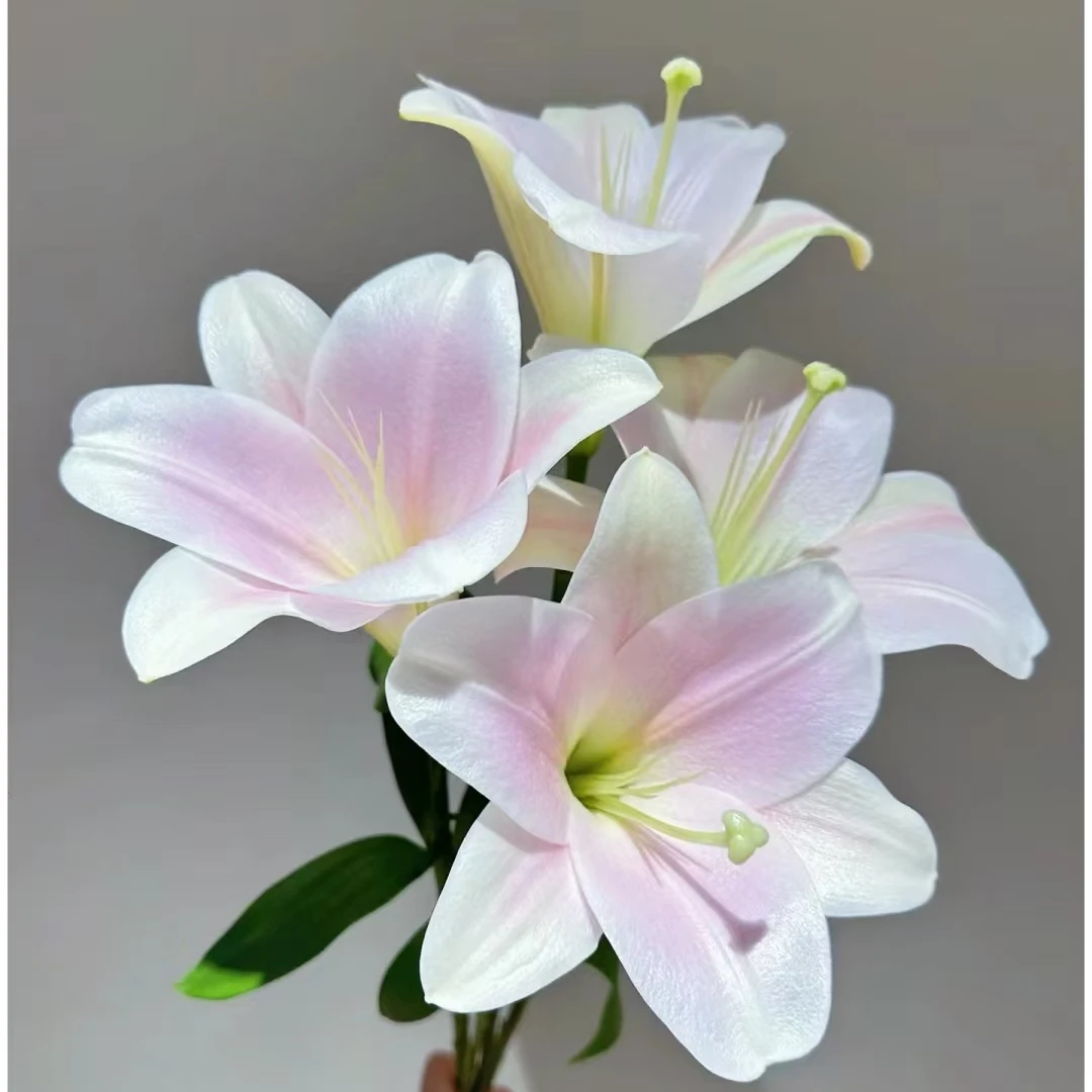 【源头优选】粉铁炮百合 任意2单鲜花包邮 发货后不支持退款
